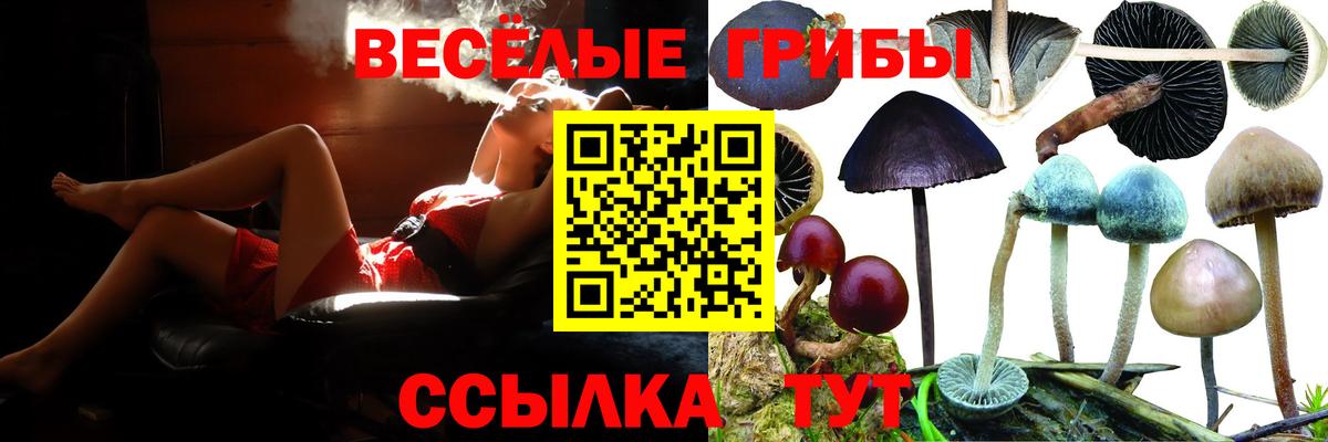 Урус-Мартан  Псилоцибиновые грибы Magic Shrooms  Вход с VPN 
